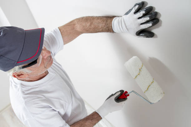  , USA Mold Removal Pros