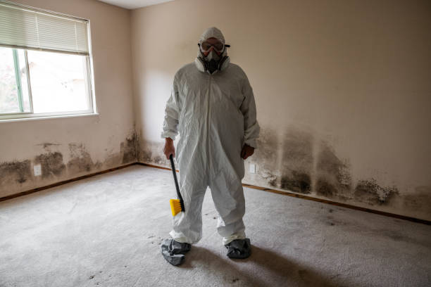 Best Biohazard Mold Removal  in USA